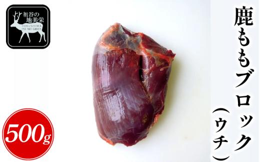 【徳島県三好市祖谷産】祖谷の地美栄 鹿 モモ ブロック ウチ 500g 希少 部位 ジビエ 地美栄 厳選 鹿肉 国産 ヘルシー 低カロリー 高たんぱく 低脂質 焼肉 BBQ バーベキュー ステーキ ロースト シカ シカ肉 唐揚げ カレー シチュー 使いやすい 冷凍 赤身 みよし 徳島 三好 祖谷
