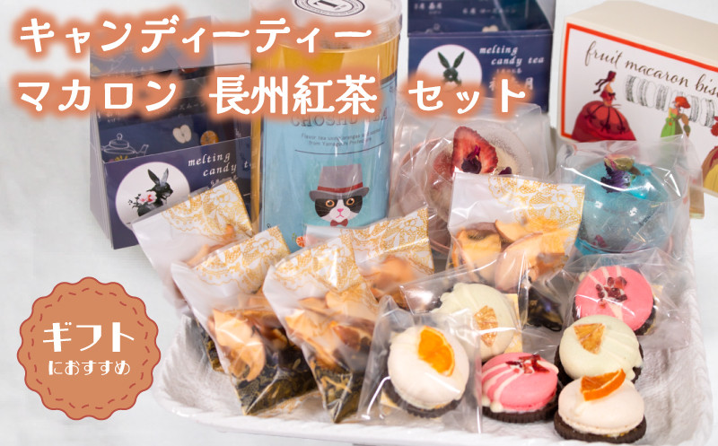 
                  キャンディーティー マカロン 長州紅茶 セット  ( ドライフルーツ りんご みかん オレンジ フルーツ 果物 くだもの マカロン 紅茶 詰め合わせ ギフト プレゼント ) 下関 山口
                