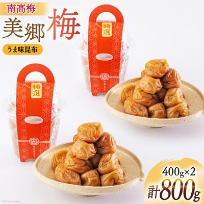 ふるさと納税 美郷町 南高梅 梅干し 美郷梅 昆布 400g×2個 3Lサイズ 塩分控えめ A級品 [31ab0112]