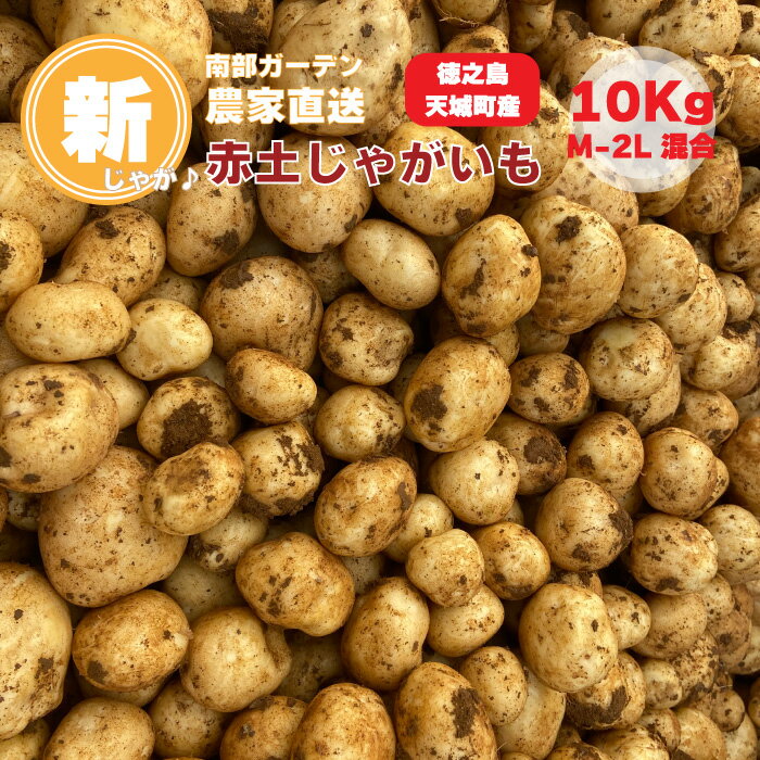 【ふるさと納税】徳之島 天城町産 赤土じゃがいも 10kg M～2L 混合サイズ 南部ガーデン ジャガイモ ばれいしょ バレイショ お手軽 送料無料 国産 野菜 九州産 鹿児島県産 新じゃが 春 CB-6