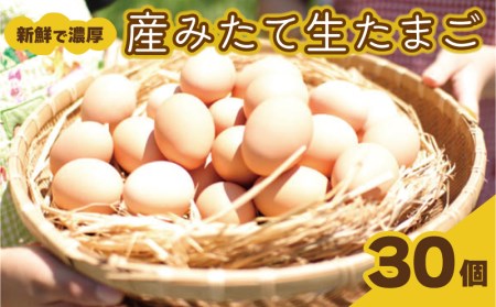 たまご 卵 30個 (26個＋ 割れ保障 4個 ) 産みたて 生たまご ( 新鮮卵 卵10個×3パック 卵30個 下関の卵 豊北卵 ハーブ鳥卵 おいしい卵 卵焼き 目玉焼き用卵 卵かけご飯 洋菓子用卵