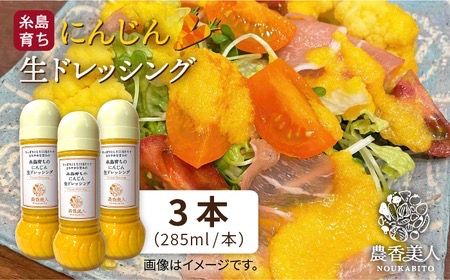 農香美人オリジナル にんじん 生ドレッシング（285ml）×3本セット【農香美人】[AAG007]