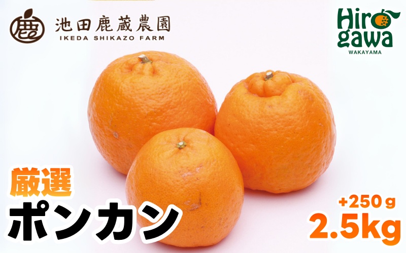  厳選 ポンカン 2.5kg+250g（痛み補償分） 光センサー 食頃出荷 / 有田 みかん 柑橘 蜜柑 くだもの 果物 果実 フルーツ 和歌山 ※1月中旬～2月下旬頃に順次発送予定 ※北海道・沖縄・離島への配送不可 【ikd008-p-2d5】