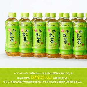 伊藤園 おーいお茶　緑茶600ml×24本 PET【飲料 飲み物お茶 ソフトドリンクお茶 備蓄お茶 お茶 ペットボトルお茶 備蓄お茶 長期保存お茶 送料無料お茶】宮崎県川南町