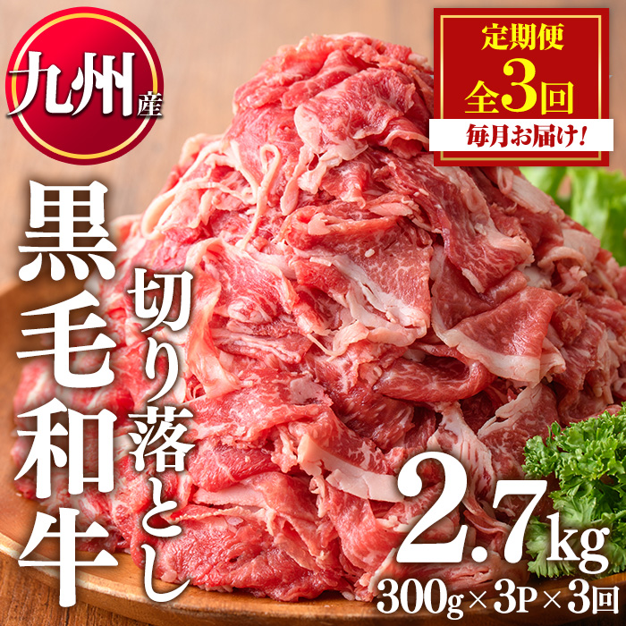 No.1376-A ＜定期便・全3回＞九州産 黒毛和牛切り落とし(総計2.7kg・300g×3P×３回) 牛肉 切落し 切り落し 和牛 冷凍 九州産 国産 小分け 国産牛 お肉 牛丼 野菜炒め カレー 定期便 冷凍 寄附額改定 小分け 【LRプラスK】