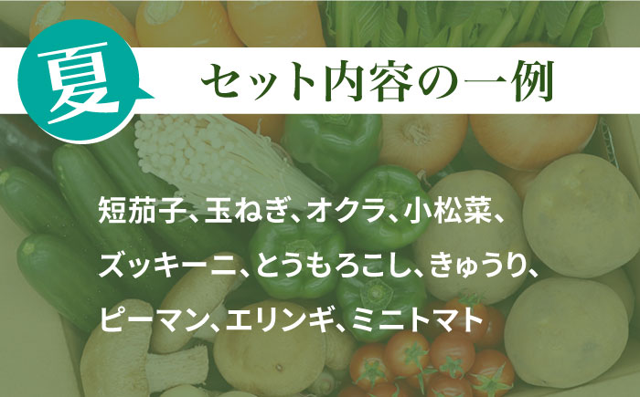 【偶数月6回定期便】当日仕入れ当日発送！野菜・キノコをセット 10品目以上 / 季節 旬 野菜定期便 旬野菜 やさい 野菜 新鮮 野菜セット 詰め合わせ / 南島原市 / 吉岡青果 [SCZ006]