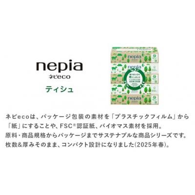 ふるさと納税 春日井市 【定期便】2回発送(3か月おきに)ネピア ネピecoティシュ200組　5箱×12パック |  | 02