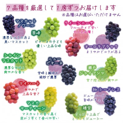 岡山　花笑み農園のブドウ『食べ比べ7種セット』　7M-5　【9月下旬～順次発送】【配送不可地域：離島・北海道・沖縄県】