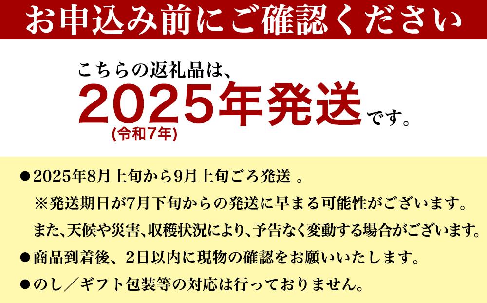 【先行受付】【2024年発送】キーツマンゴー 南城市 約1.5kg (1～2玉)