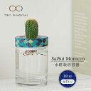 【ふるさと納税】【美濃焼】SaiSui Morocco（Blue）植物付き【大東亜窯業】インテリア 雑貨 観葉植物 [MAG071]