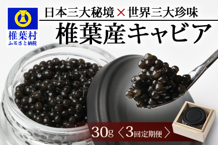 〈3回定期便〉【桐箱入り】キャビア 30g × 3回配送 計90g【世界三大珍味×日本三大秘境】宮崎 椎葉 国産 チョウザメ キャビア 魚卵 定期便 魚介 珍味 贈答品 SZ-104_3teiki