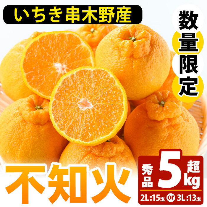 【ふるさと納税】池之上果樹園の不知火 (5kg超 / 2L :15玉 or 3L :13玉) 国産 鹿児島県産 果物 柑橘 みかん ミカン 蜜柑 不知火 しらぬい でこぽん 5kg 超え 秀品 旬 フルーツ 果実 産地直送 農家直送 冬季 常温 箱 化粧箱 【池之上果樹園】