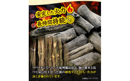 紀州備長炭訳あり約1.5kg望商店《30日以内に出荷予定(土日祝除く)》備長炭紀州備長炭炭約1.5kg高級白炭---wshg_nzm1_30d_23_9000_1500g---｜備長炭備長炭備長炭備長