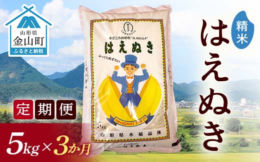 令和7年産《定期便》金山産米 はえぬき【精米】5kg×3ヶ月  計15kg 定期便 米 お米 白米 ご飯 精米 ブランド米 送料無料 東北 山形 金山町  F4B-0680