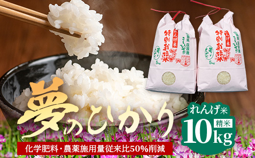 新米 予約受付 令和8年産 れんげ米「夢のひかり」5kg×2袋 合計10kg 精米 こしひかり コシヒカリ 白米 お米 広島 庄原