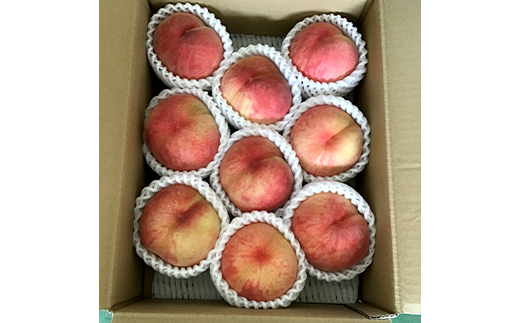 【2025年先行予約】山形県中山町産白桃 約3kg(6玉～12玉) 期間限定 数量限定 山形県産 フルーツ くだもの 果物 もも モモ F4A-0107