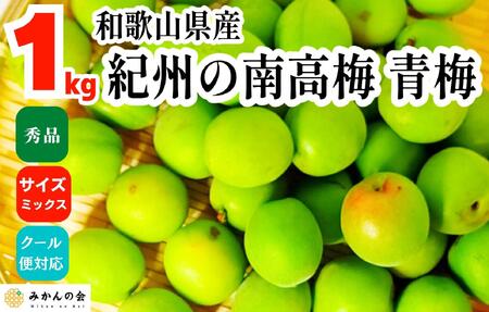[2025年6月上旬出荷] 青梅 南高梅 約1kg 秀品 サイズミックス  和歌山県産 A品 梅酒作り用 梅ジュース作り用