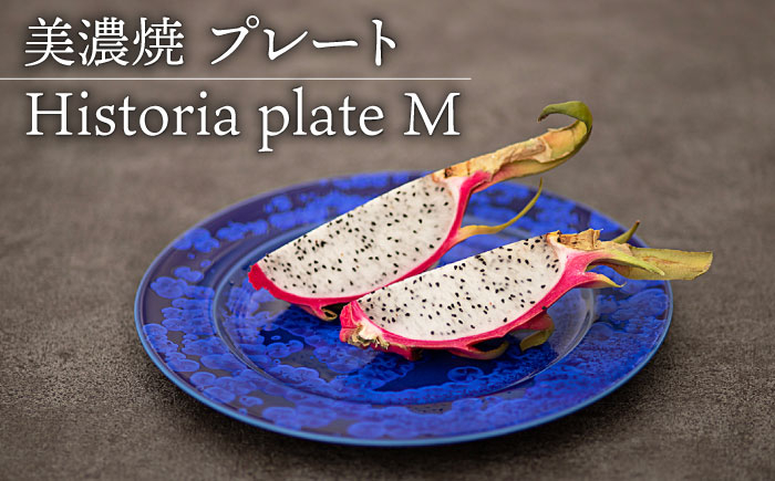 
【美濃焼】 プレートM Historia plate M 食器 器 うつわ 多治見市/柴田商店 [TAL064]
