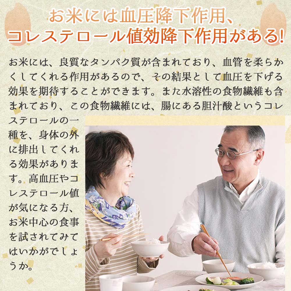 【きぬむすめ】令和６年産 白米10kg（10kg×1袋）(22-60)