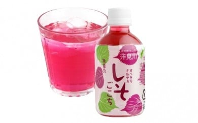 【ふるさと納税】すっきりさわやかしそごこち（しそドリンク）12本セット　果実飲料・ジュース・しそ・ドリンク・ペットボトル