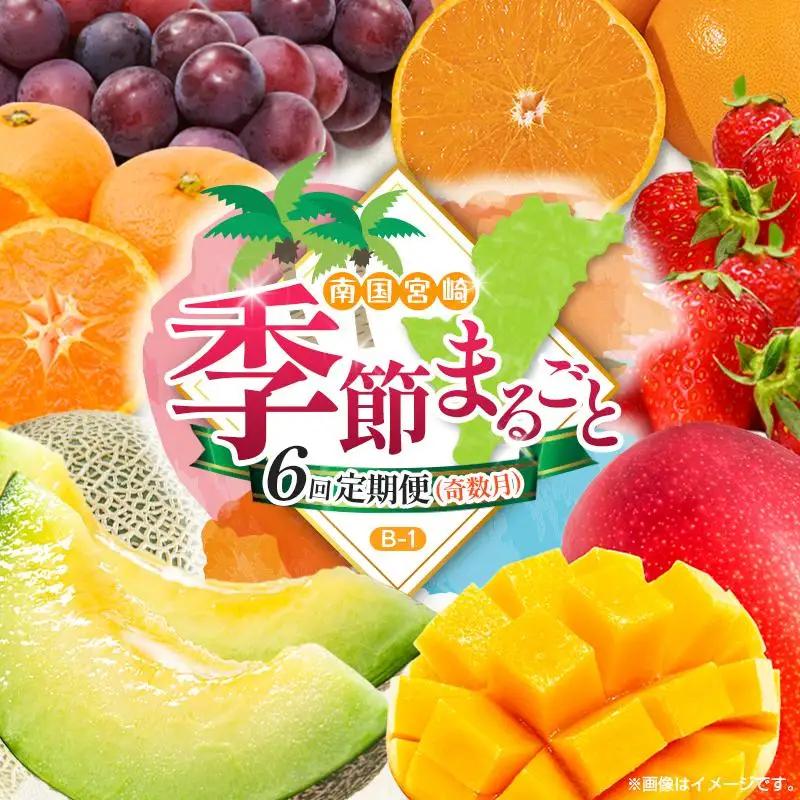 【奇数月 6回定期便】旬 人気 フルーツ 南国宮崎産 マンゴー ピオーネ いちご みかん メロン 柑橘 ぶどう 果物 詰め合わせ 宮崎県 九州＜B-1コース M210＞