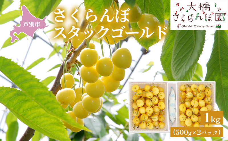 
                  【先行受付】さくらんぼ スタックゴールド1kg（500g×2パック）サクランボ 黄 大橋 芦別 希少 [№5342-0285]
                