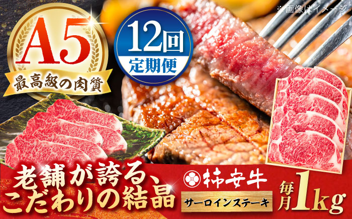 
                  【12回定期便】最高級A5等級 三重県産 黒毛和牛 柿安牛 サーロインステーキ 1000g / 国産牛 ブランド牛 牛肉 冷蔵 / 亀山市 / 柿安本店 [AMBW032]
                