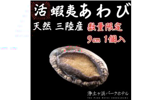 ＜先行予約(12月発送)＞岩手県より獲れたて鮮魚直送便 ＜活蝦夷アワビ150g×1個＞【1557332】