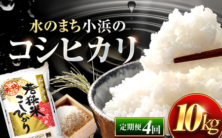 【新米】【4回定期便/3ヶ月に1回】 福井県産 コシヒカリ 精米 (白米) 10kg 一等級　福井県米 /甘みと粘りが際立つ 王道米 こしひかり 小浜市 / 若狭ふれあい市場[BFEL032]
