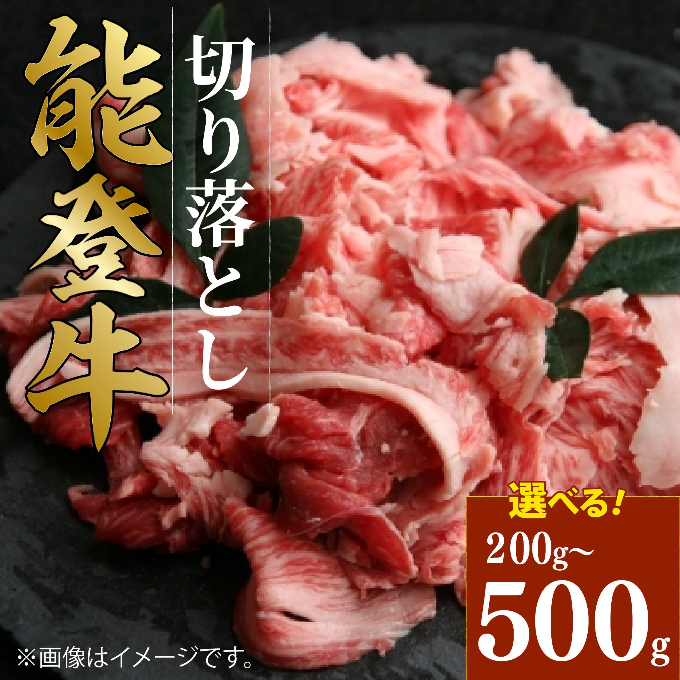 【ふるさと納税】 黒毛和牛 切り落とし 能登牛 500g 300g 200g ギフト 選べる容量 小分け とろける 食感 希少 ギフトボックス 贈答 プレゼント ブランド 和牛 国産 肉 冷凍 石川 羽咋 能登 国産 能登半島 牛 牛肉 焼肉 すき焼き しゃぶしゃぶ にも 災害支援 復興支援