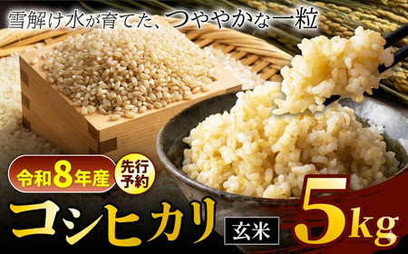 【令和8年産先行予約】『松川村認定農業者』コシヒカリ 玄米 5kg  | 叶屋