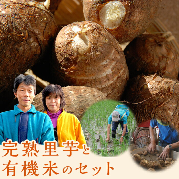 【ふるさと納税】里芋 さといも 米 アイガモ有機米 農薬不使用 化学肥料不使用 JAS認証 合鴨栽培 健康 里芋づくり名人がつくる完熟里芋と有機米のセット