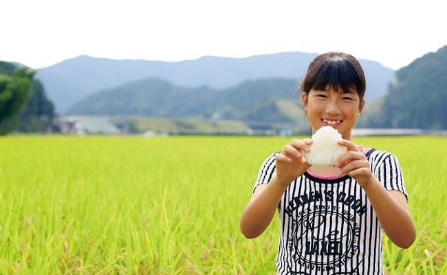 【新米受付】令和8年度産米ウソのような本当の香りに感動！仁井田米5kg／Btb-C06