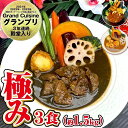 【ふるさと納税】冷凍スープカレー 極み 3食セット 合計約1.5kg 3パック カレー スープカレー 具材入り セット 詰め合わせ 食べ比べ 惣菜 グルメ 冷凍 国産 福岡県 筑後市 送料無料