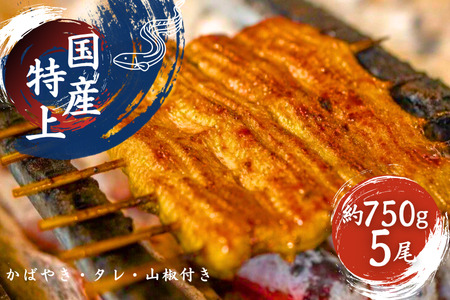 加須の名店うなぎ荒川の『国産特上うなぎ蒲焼5尾』【うなぎ】うなぎ うなぎ うなぎ うなぎ 鰻 鰻 鰻 鰻 鰻 