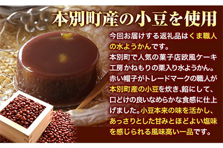 北海道十勝 くま職人の水ようかん 10個入り 欧風ケーキ工房 かねもり 《5月上旬-7月末頃より出荷予定》 北海道 本別町 送料無料 和菓子 ようかん 羊羹 羊かん 水ようかん 水羊羹 スイーツ デザ