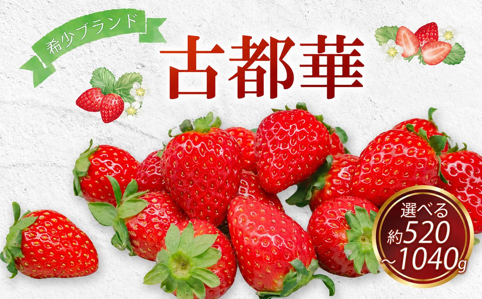 
                  【2027年発送】いちご 古都華 ことか 先行予約 約520g~1040g イチゴ 苺 通常サイズ 520g 1040g 大粒サイズ 600g なくなり次第終了 フルーツ 果物 旬 産地 農場 直送 フレッシュ スイーツ スムージー  国産 ベリー 贈答用 ギフト用 プレゼント 数量限定 ふるさと納税 ふるさと おすすめ 限定 奈良県 奈良市 なら ファーム和だや fwd004_R9_OYA
                