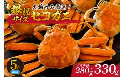 【先行予約】【1匹280g～330gの大物のみ厳選！ 眼福サイズ セコガニ5匹セット 冷蔵】令和7年11月中旬以降、水揚げ次第順次発送予定 濃厚なカニ味噌 やみつきになる内子 外子 絶品 浜茹で 産地直送 鮮度抜群 送料無料 香住 柴山 国産 カニ 松葉ガニ せいこがに メスガニ 親ガニ ふるさと納税 返礼品 おすすめ 兵庫県 香美町 100000円 カネニ 06-25
