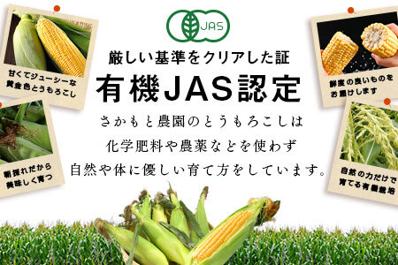 【2026年発送】朝採り有機栽培スイートコーン22本入【AV-005】