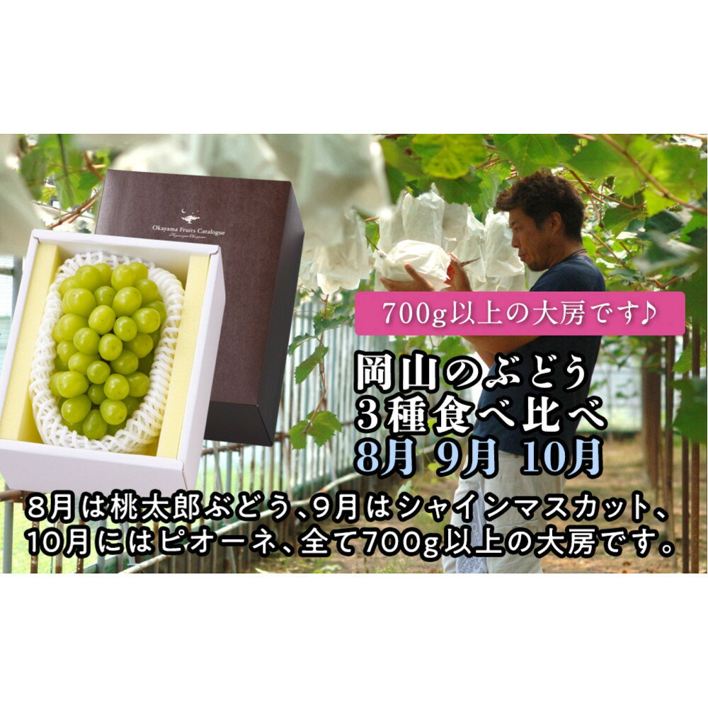 【ふるさと納税】【定期便】岡山のぶどう　3種食べ比べ（8月・9月・10月）【2027年度発送】 | フルーツ 果物 くだもの 食品 人気 おすすめ 送料無料