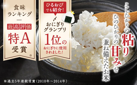 【先行予約】【全6回定期便】森のくまさん 無洗米 20kg（5kg×4袋）【有限会社  農産ベストパートナー】[ZBP131]