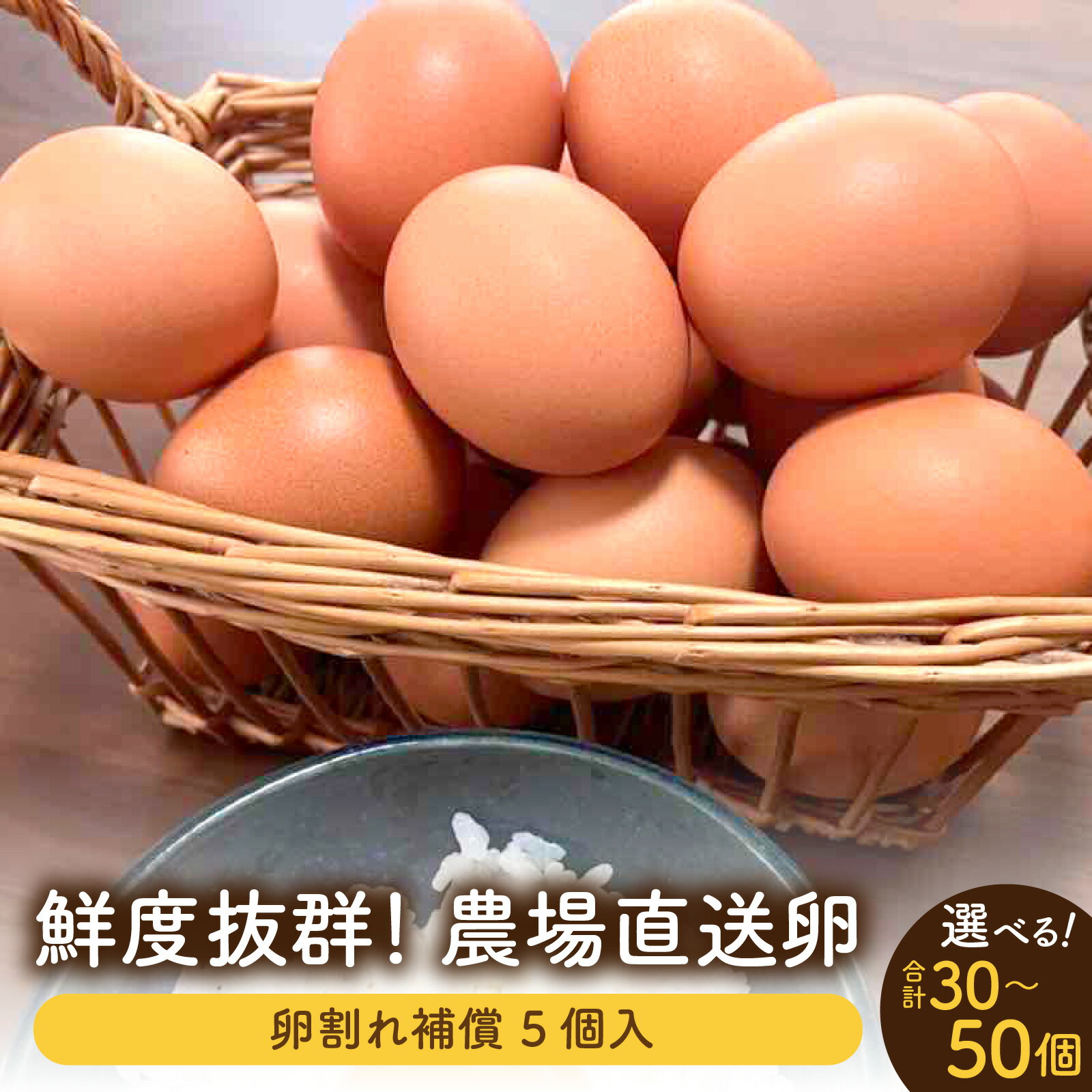 【ふるさと納税】鮮度抜群！農場直送「卵」（選べる個数 割れ補償付） / お中元 夏ギフト 送料無料 たまご 国産 フレッシュ お取り寄せ 産地直送