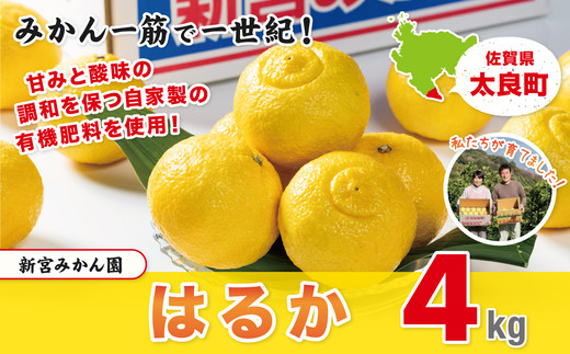 画像はイメージです。返礼品以外のものは含まれません。