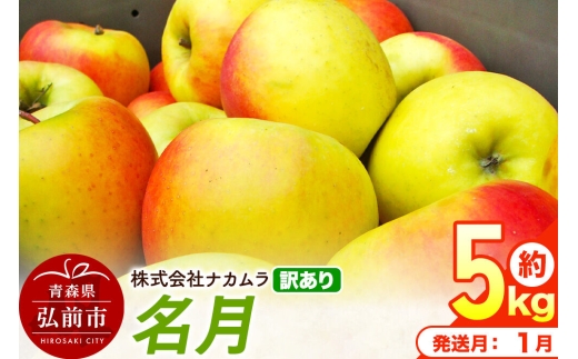 【27年1月発送】りんご 名月【訳あり】約5kg（14～23玉程度）先行受付 青森県産 林檎 リンゴ 果物 くだもの フルーツ 青森県 弘前市 不揃い 規格外 [先行予約 産地直送 家庭用 アップル おいしい めいげつ 果実 美味 甘い]
