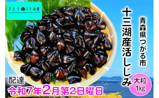 [令和7年2月第2日曜日配達] さとうしじみ屋の十三湖産活しじみ(大粒1kg)[冷蔵]｜十三湖産 青森 津軽 つがる しじみ みそ汁 味噌汁 しじみ汁 活しじみ 冷蔵 [0600]