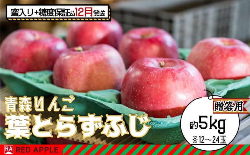 りんご 【 12月発送 】 蜜入り ＆ 13度糖度保証 贈答用 葉とらず ふじ 約 5kg 【 弘前市産 青森りんご 】