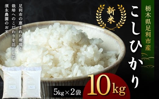 令和7年産 新米 栃木県足利市産 コシヒカリ10kg〈5kg×2袋〉 精米 白米 米 こめ ごはん 食品 栃木県 足利市 F7Z-1814
