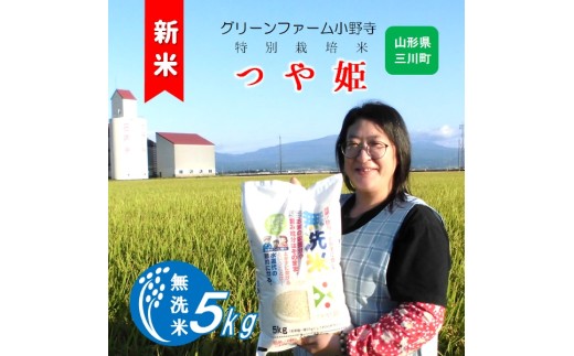 【令和8年産】《無洗米》グリーンファーム小野寺のつや姫5kg　※10月中旬頃から順次配送予定