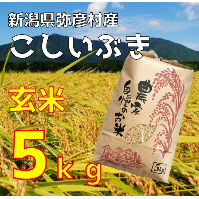 【ふるさと納税】新潟県弥彦村石井農園　令和7年産 こしいぶき【玄米 5kg】【1713679】