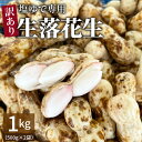 【ふるさと納税】【2025年発送】 生落花生 1kg 500g × 2袋 事前予約 訳あり やみつき 極うま 生ピーナッツ 塩ゆで専用 夏の味覚 地豆 さとのか 落花生 朝採り 神重農産 金の生落花生 おつまみ 愛知県 碧南市 送料無料